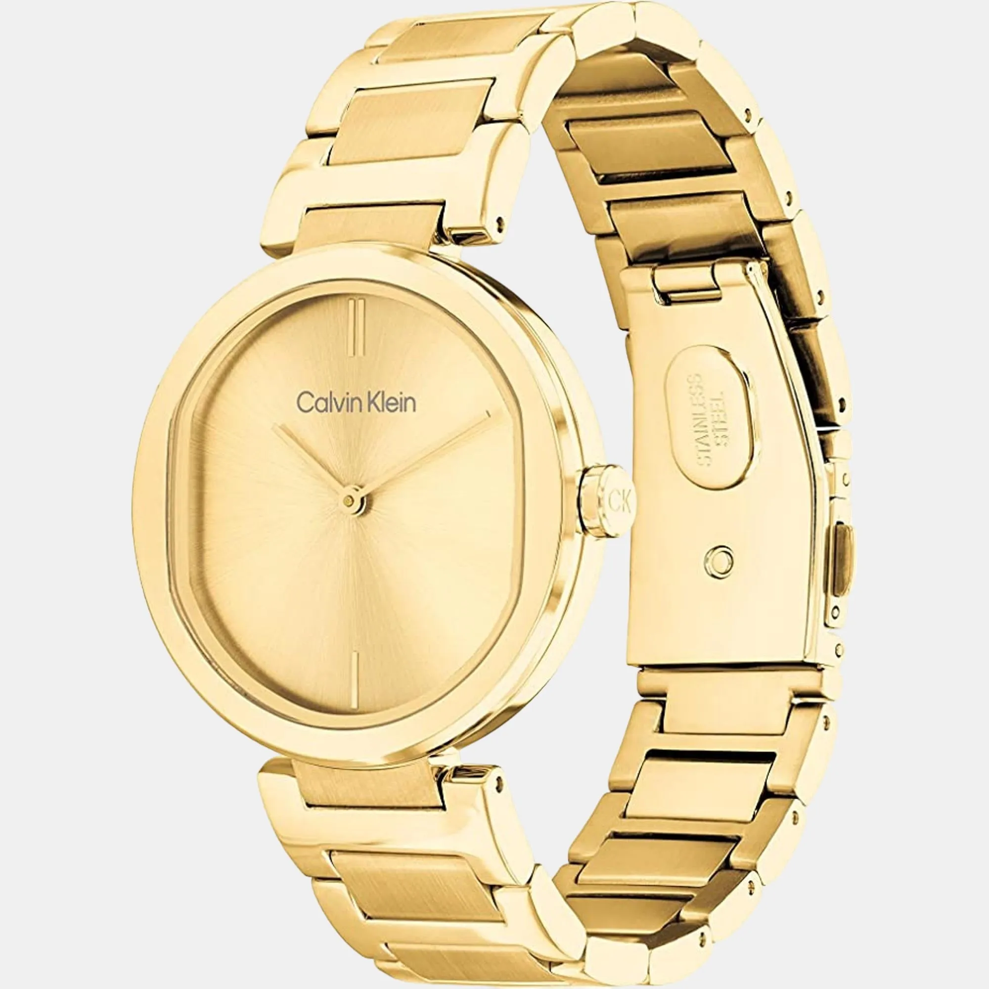 Women Analog Stainless Steel Watch 25200252